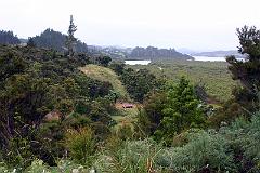 IMG_10115