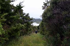 IMG_10117