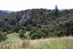 IMG_10118
