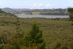 IMG_10207