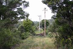 IMG_10607