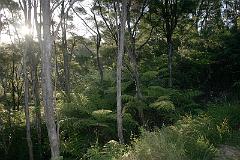 IMG_13921