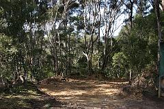 IMG_14104