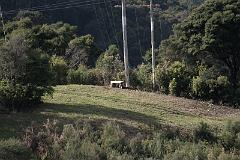 IMG_14112