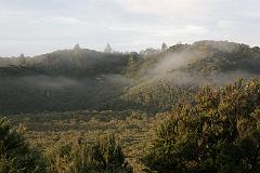 IMG_14303