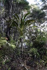 IMG_14321