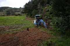 IMG_14421