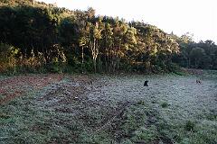 IMG_14443