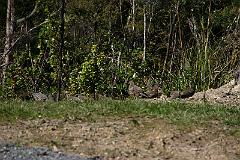 IMG_14451
