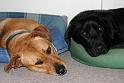 Bas_and_Sandy