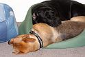 Having_a_rest