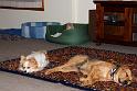 Sandy and Cindy (6)