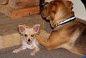 Sandy and Cindy (4)