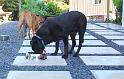 Morning meal time.