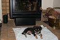 Best place in the house, right in front of the fire place.