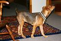 Sandy_08-05-07_0001