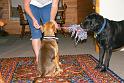 Sandy_08-05-07_0006