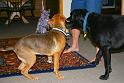Sandy_08-05-07_0009
