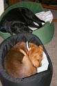 Sandy_08-05-07_0018