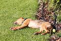 Sandy_08-05-10_0020