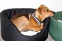 Sandy_08-05-10_0023