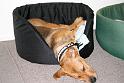 Sandy_08-05-10_0029