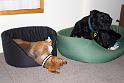 Sandy_08-05-10_0031