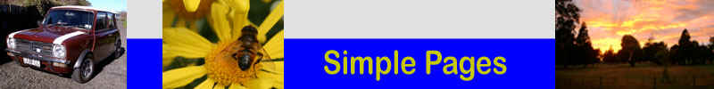 [Simple Pages]